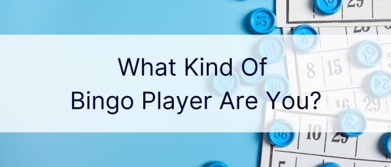 Pemain Bingo Seperti Apa Anda?