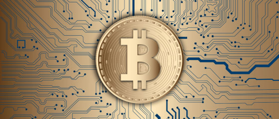 Keuntungan dan Kerugian dari Perjudian Bitcoin